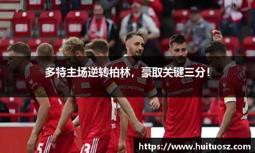 mk体育(MKsports集团)股份公司