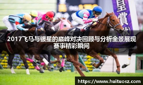 2017飞马与银星的巅峰对决回顾与分析全景展现赛事精彩瞬间
