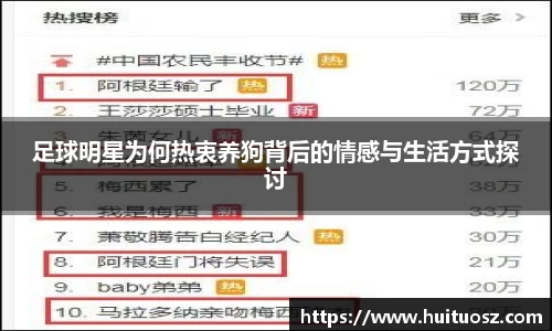 足球明星为何热衷养狗背后的情感与生活方式探讨